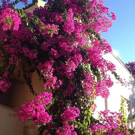 Villa Bodrum Voyage *